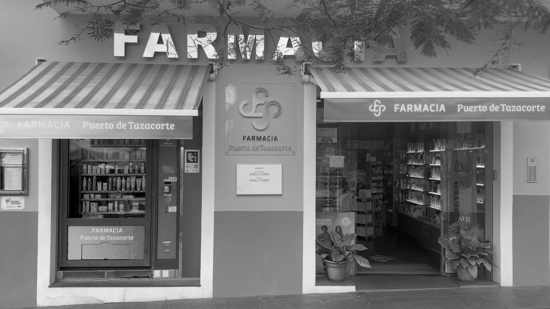 Video Puerto de Tazacorte, Farmacia de La Palma