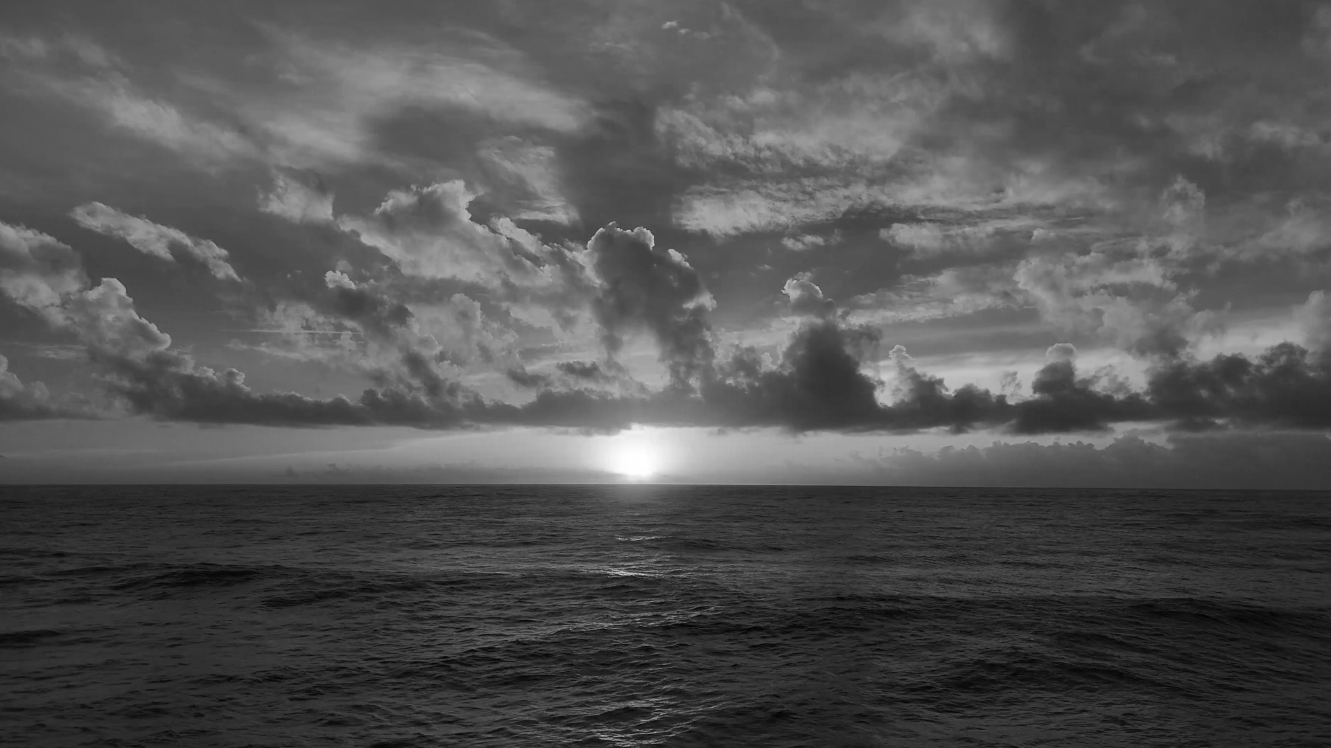 Video Puerto de Tazacorte, Farmacia de La Palma